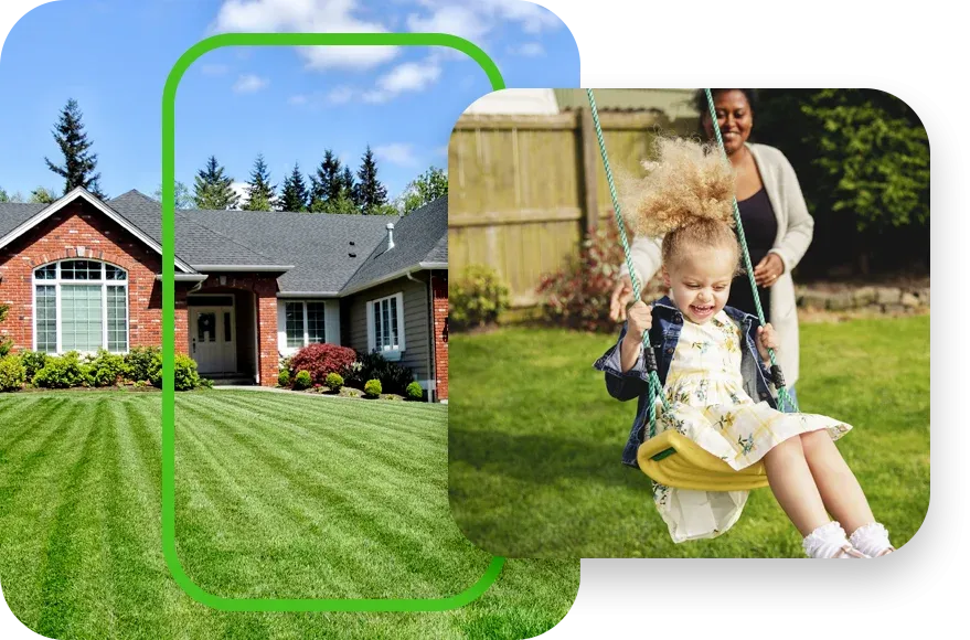 house healthy green grass family swing set